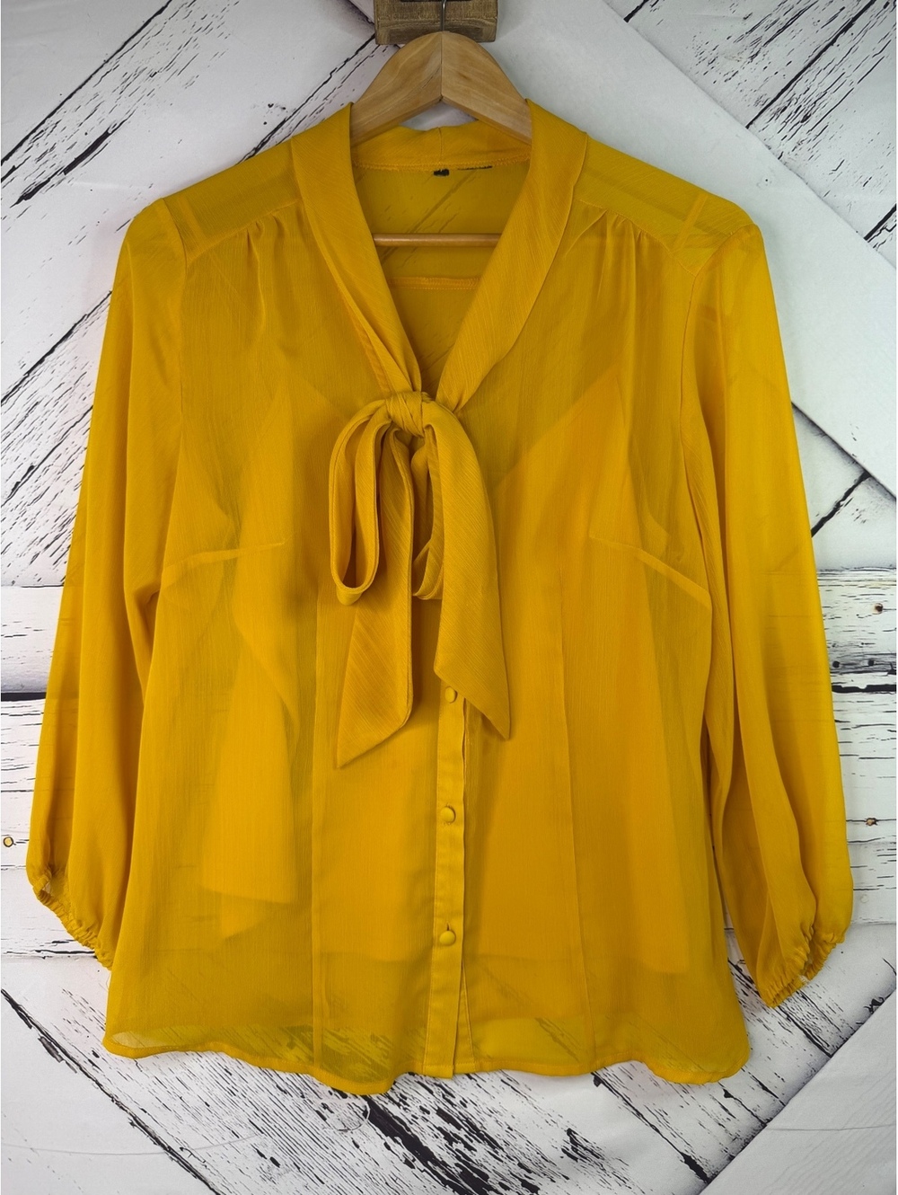 Vintage Style Chiffon Bow Neck Retro Whimsy Academia Blouse Women’s Medium